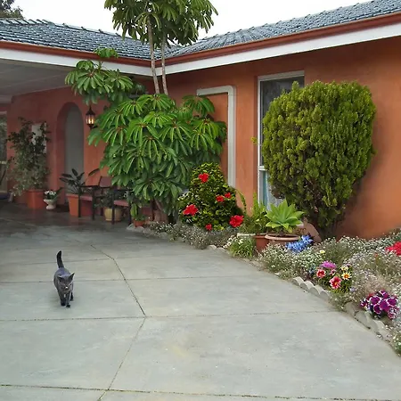 The Spanish Guesthouse, Private Rooms-3